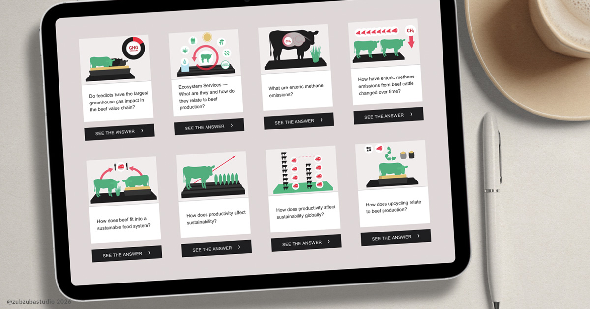 Animated Learning Module